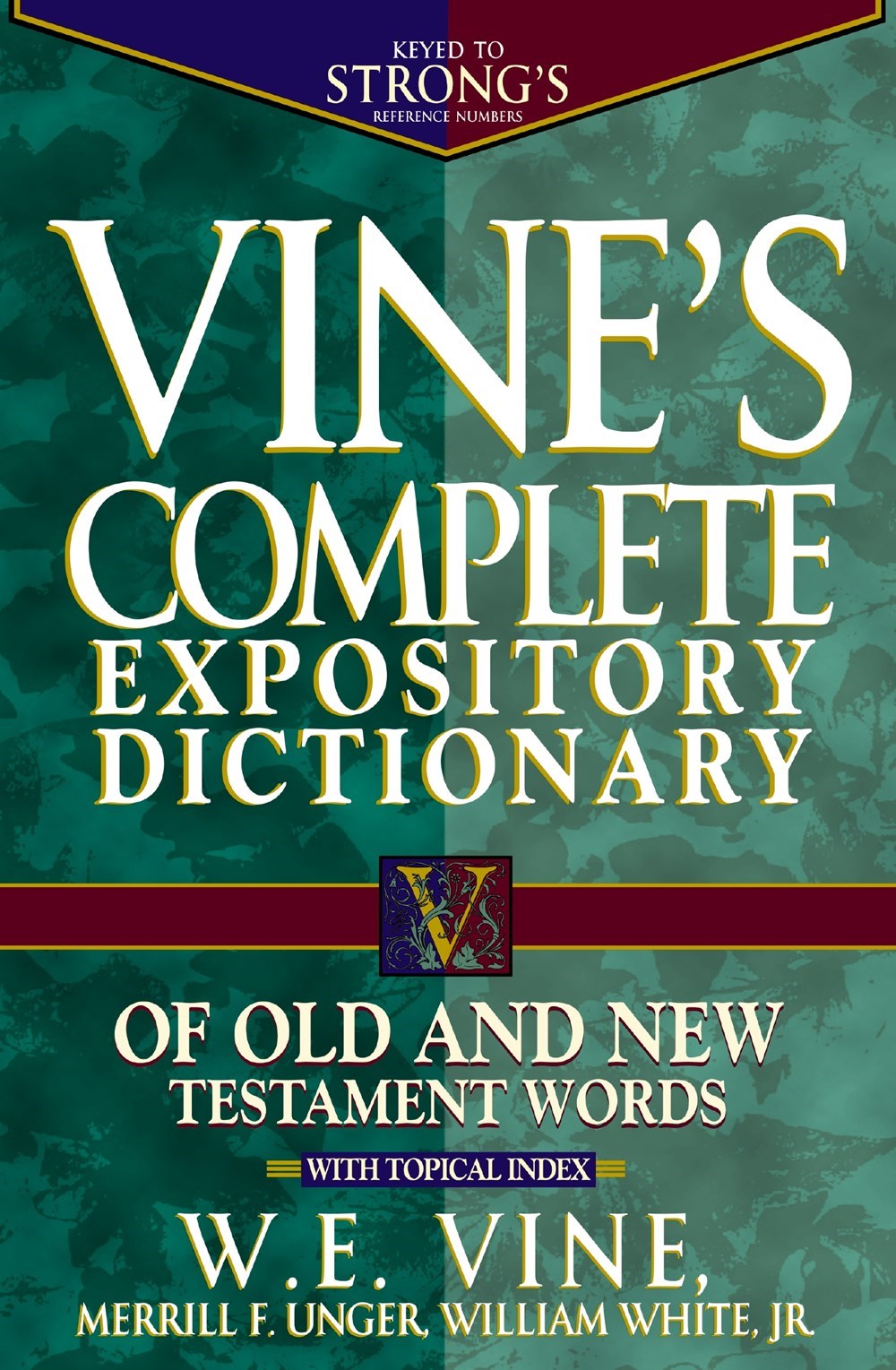 VINE'S COMPLETE EXPOSITORY DICTIONARY OLD & NEW TESTAMENT WORDS