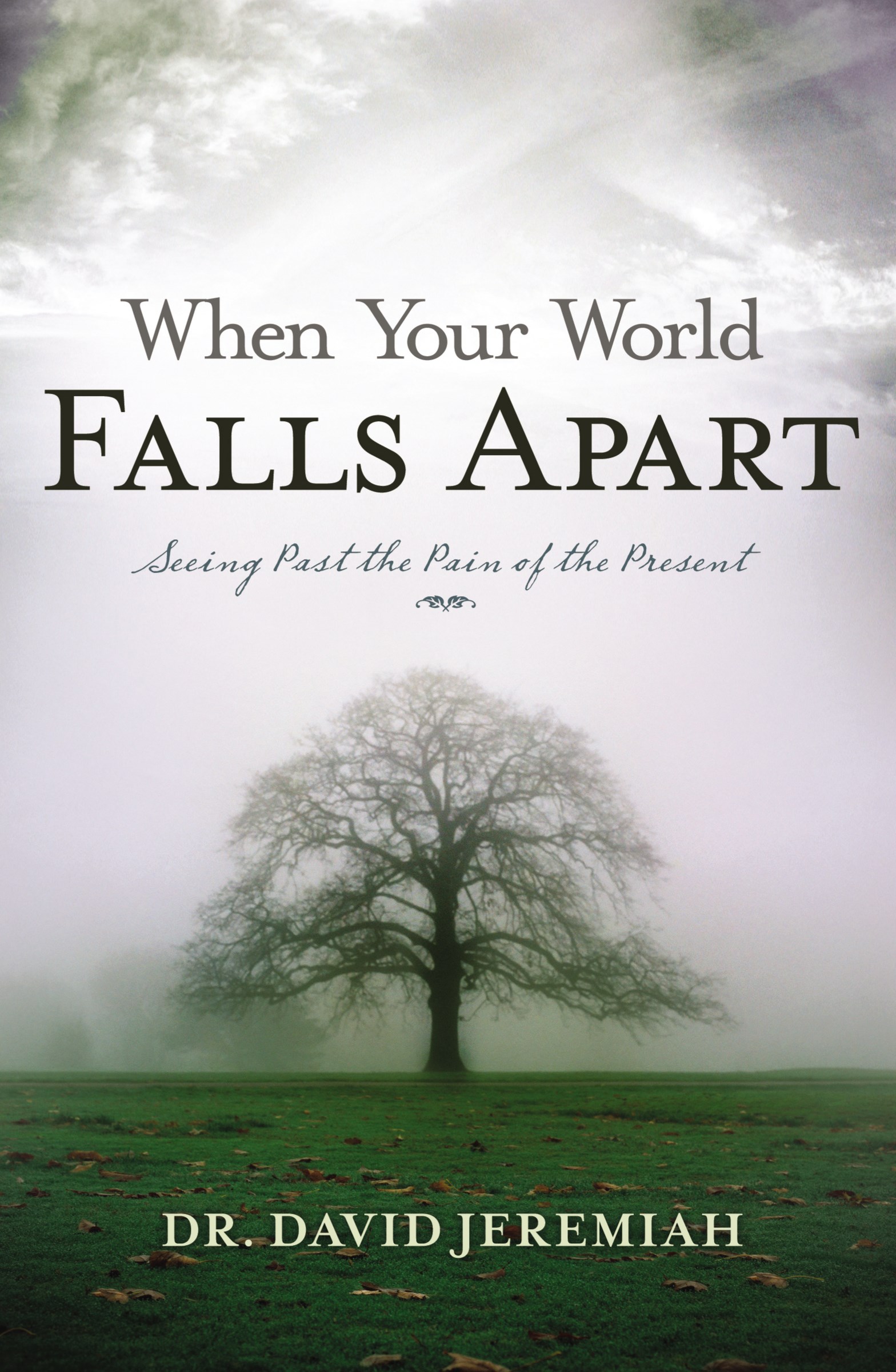 WHEN YOUR WORLD FALLS APART