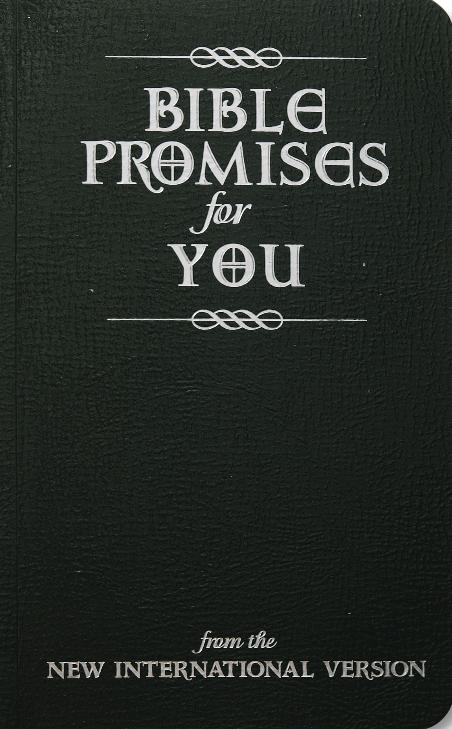 BIBLE PROMISES FOR YOU (FROM THE NIV)