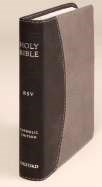 RSV CATHOLIC BIBLE/COMPACT EDITION-BLACK/GRAY IMITATION LEATHER