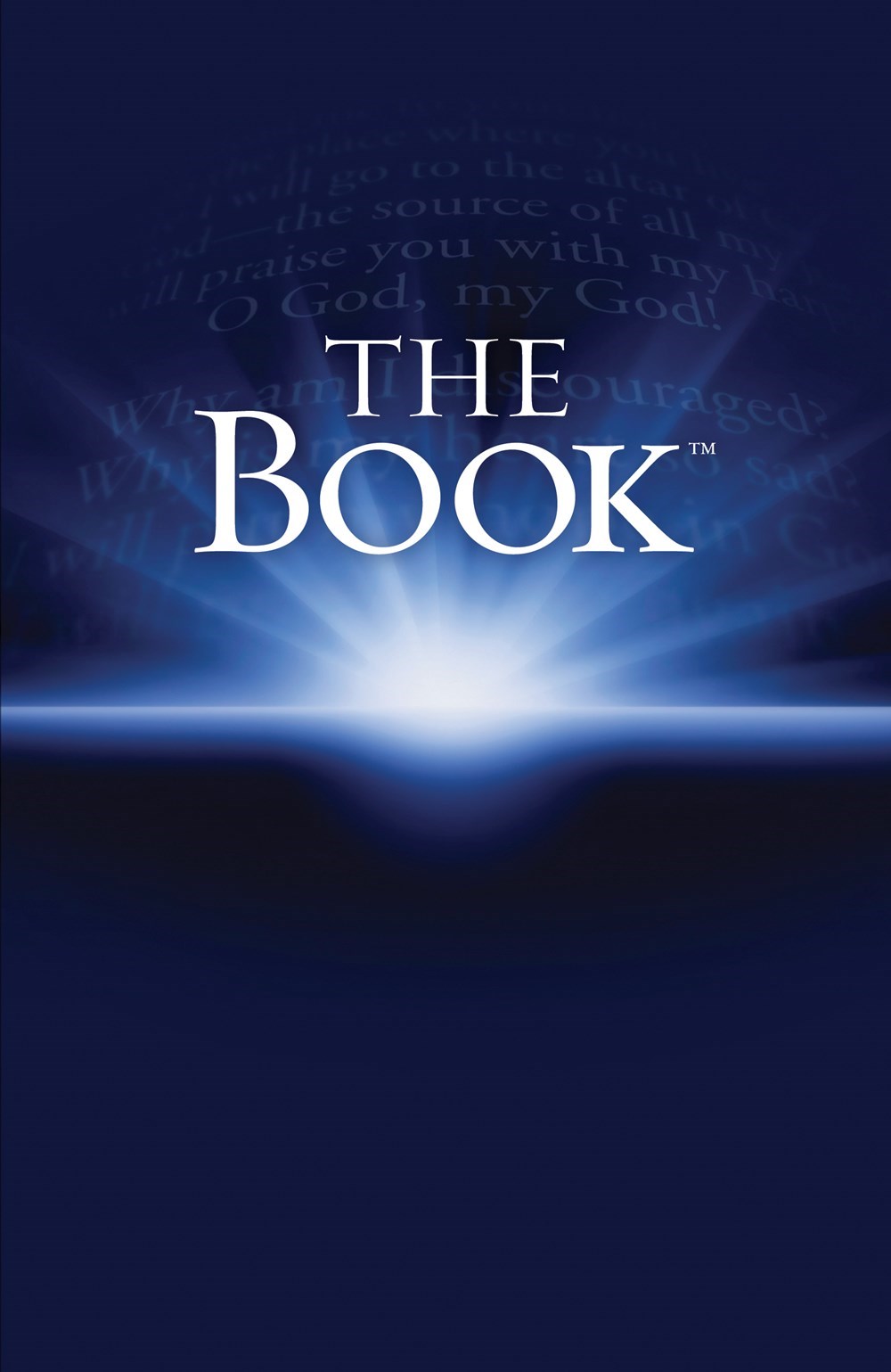 NLT THE BOOK-SOFTCOVER