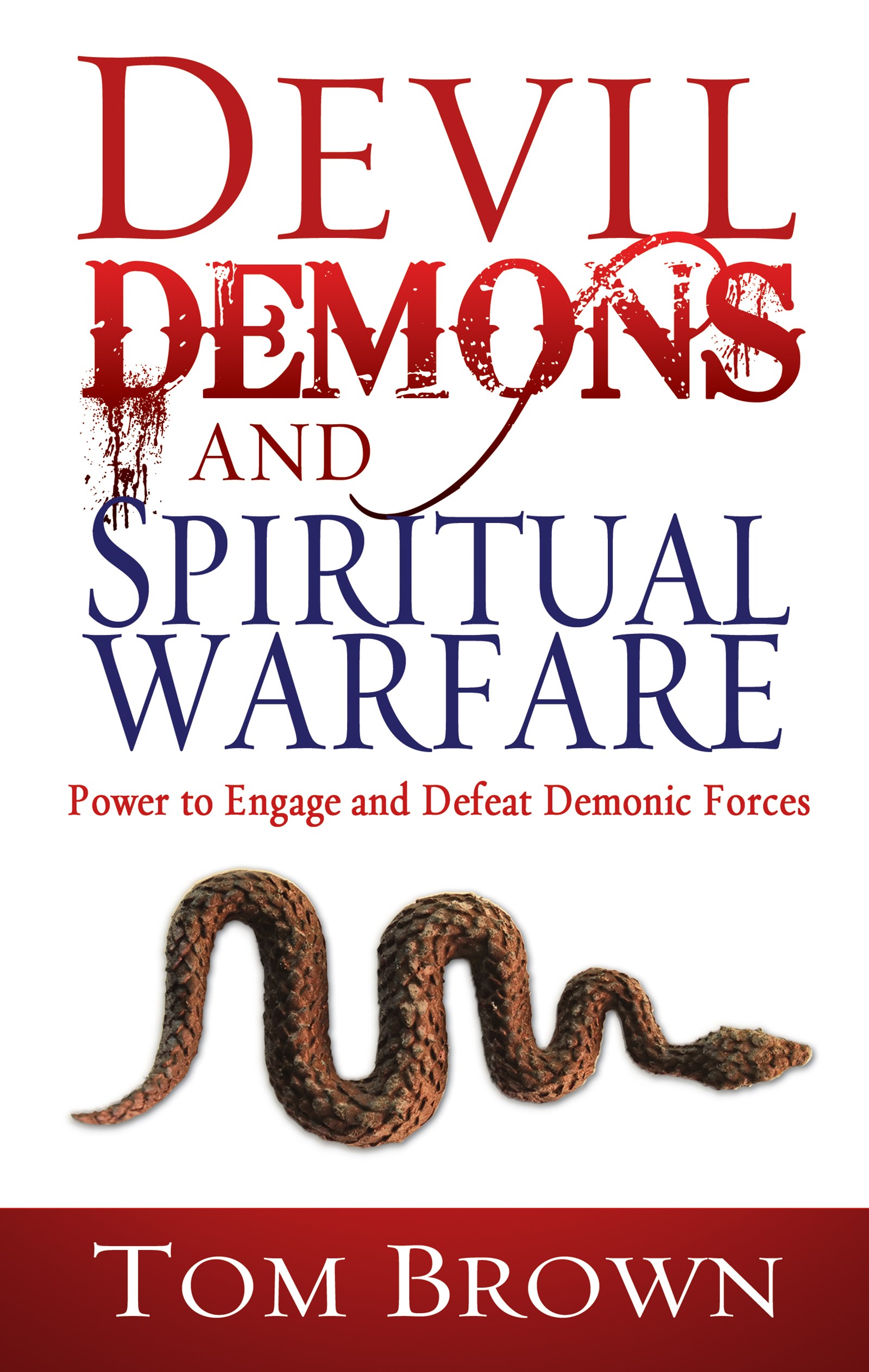 DEVIL DEMONS AND SPIRITUAL WARFARE 