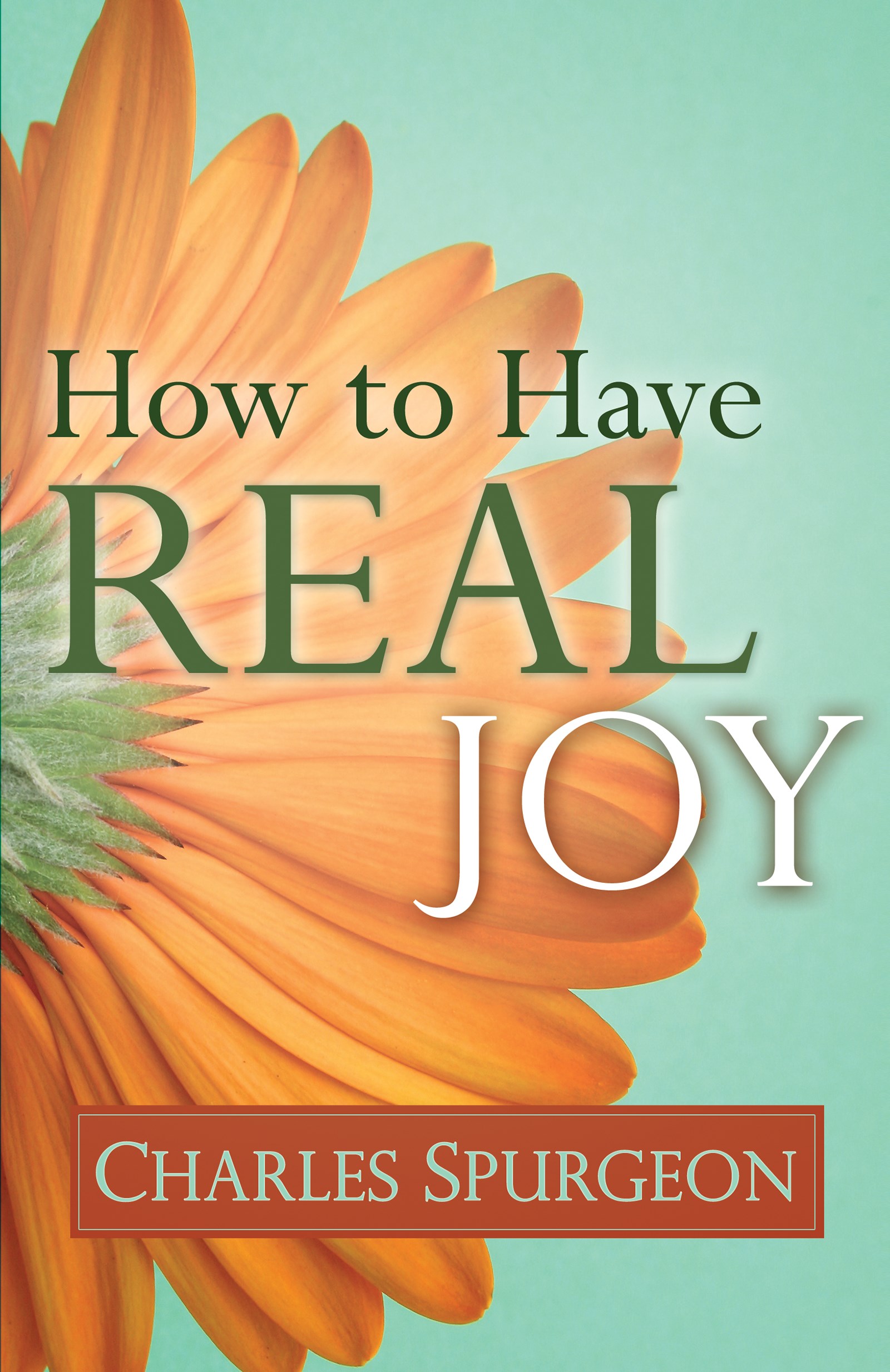 HOW TO HAVE REAL JOY 