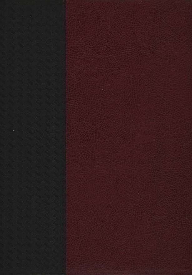 NKJV SCOFIELD STUDY BIBLE III/LARGE PRINT-BURGUNDY BONDED LEATHER INDEXED