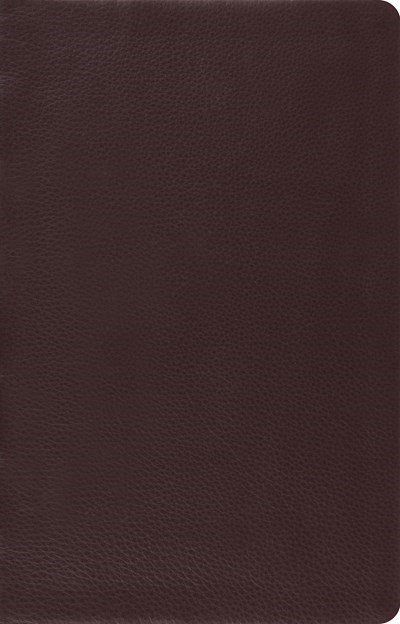 ESV LARGE PRINT THINLINE REFERENCE BIBLE-BROWN TOP GRAIN LEATHER