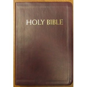 NABRE CATHOLIC COMPANION BIBLE-BURGUNDY IMITATION LEATHER