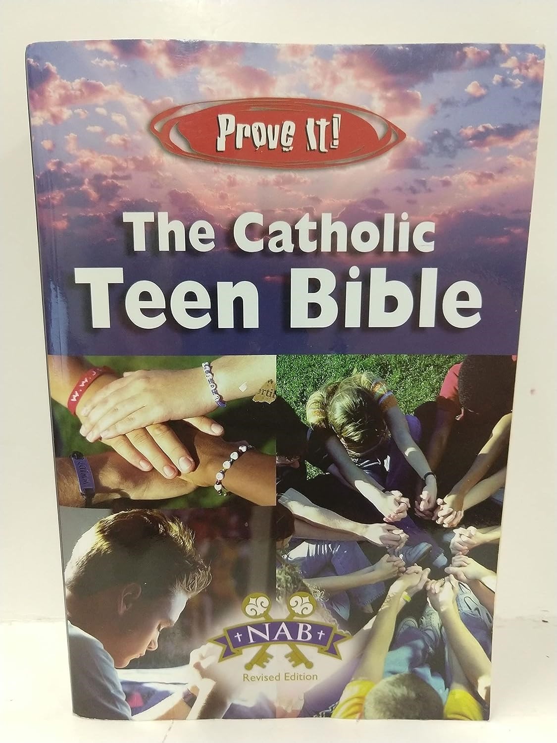 NABRE PROVE IT! CATHOLIC TEEN BIBLE-SOFTCOVER