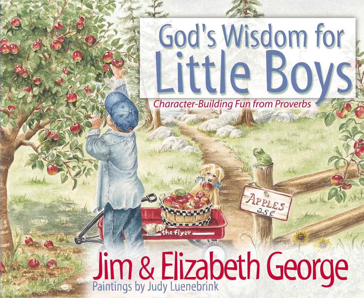 GOD'S WISDOM FOR LITTLE BOYS