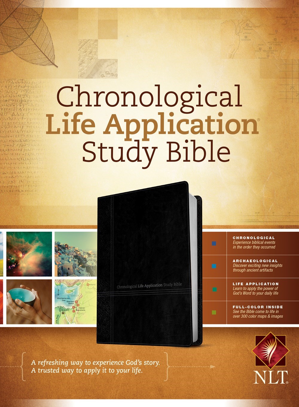 NLT CHRONOLOGICAL LIFE APPLICATION STUDY BIBLE-BLACK/ONYX TUTONE