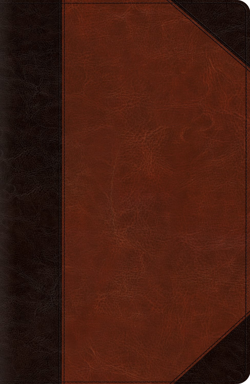 ESV REFERENCE BIBLE-BROWN/CORDOVAN PORTFOLIO DESIGN TRUTONE