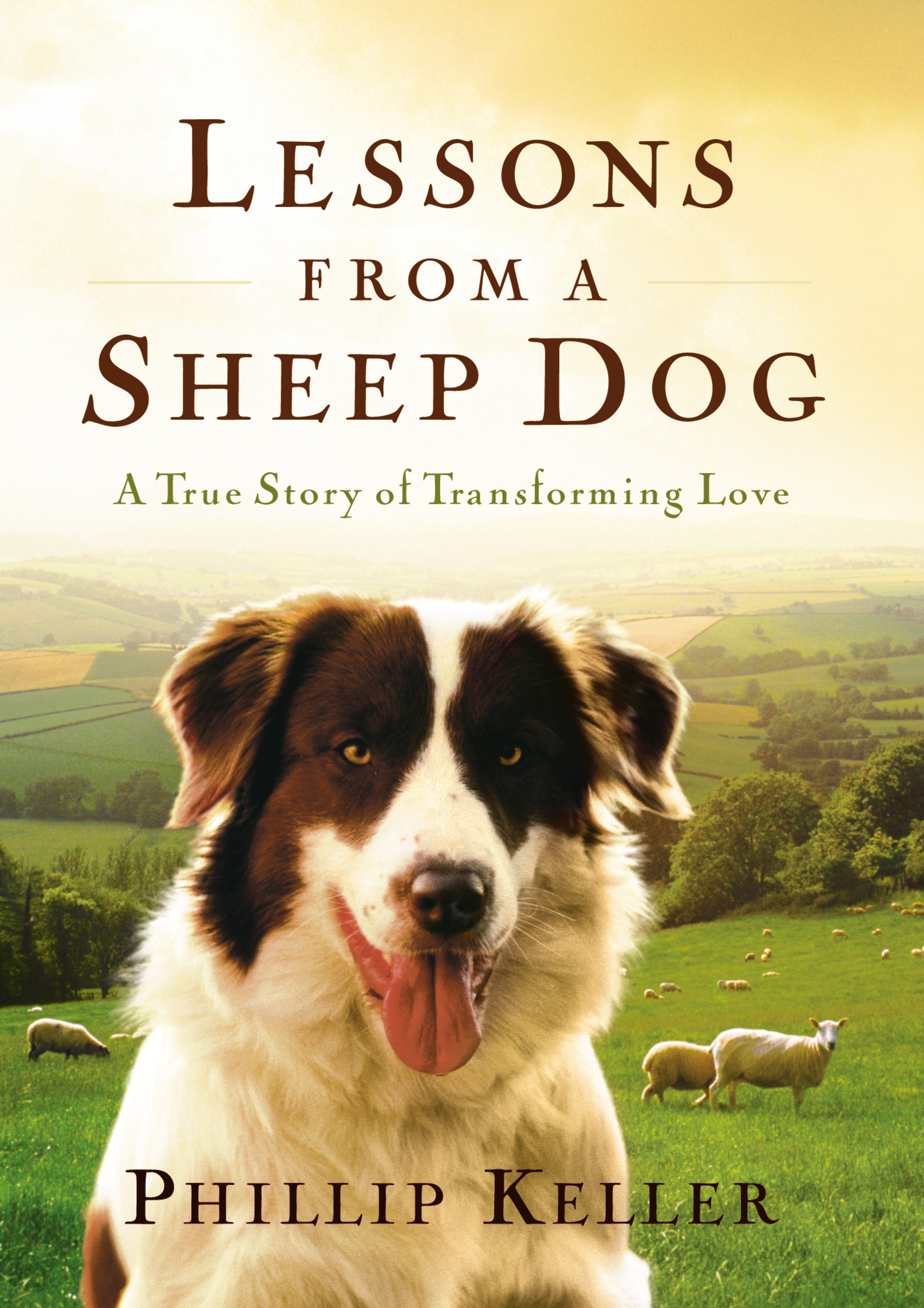 LESSONS FROM A SHEEP DOG (UPDATED)