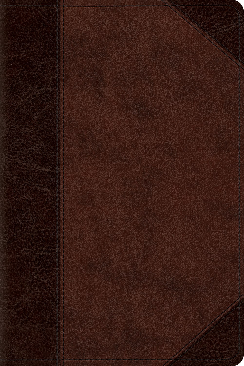 ESV PERSONAL REFERENCE BIBLE-BROWN/WALNUT PORTFOLIO DESIGN TRUTONE