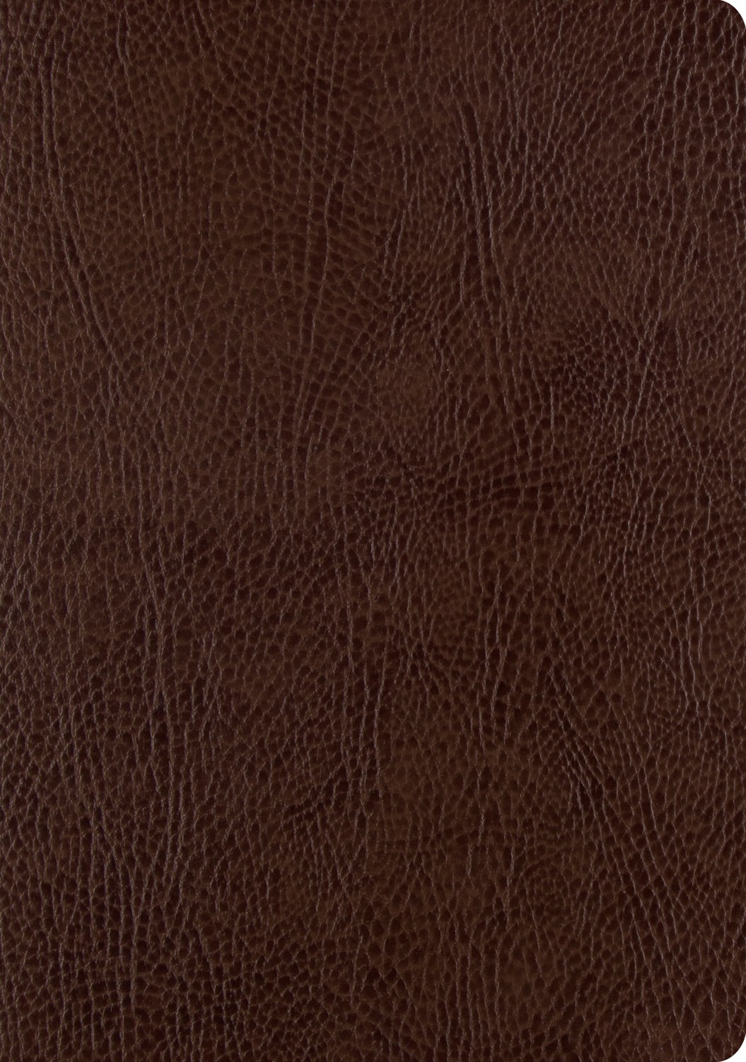 ESV SINGLE COLUMN JOURNALING BIBLE/LARGE PRINT-MOCHA BONDED LEATHER