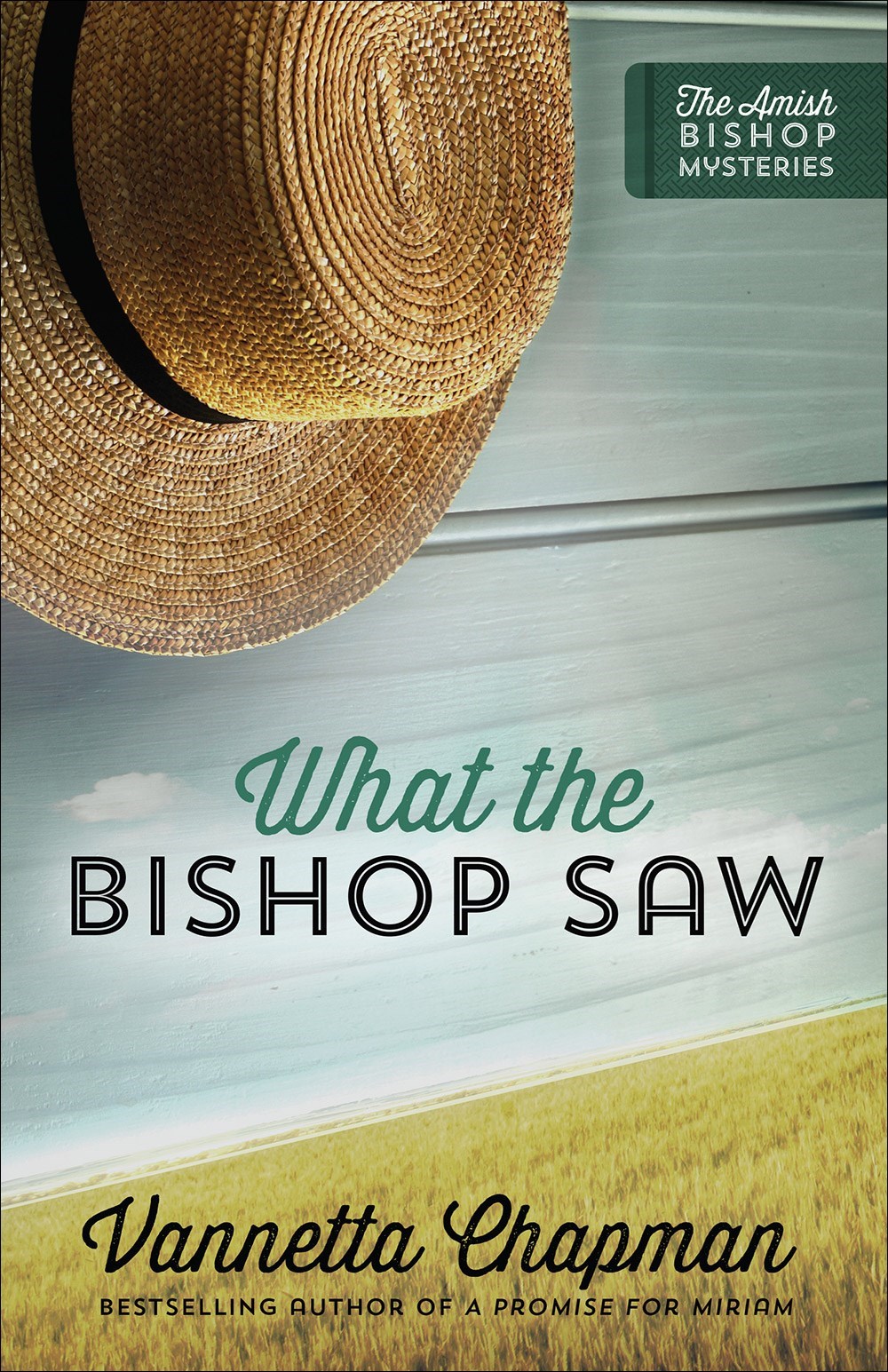 WHAT THE BISHOP SAW (AMISH BISHOP MYSTERIES #1)