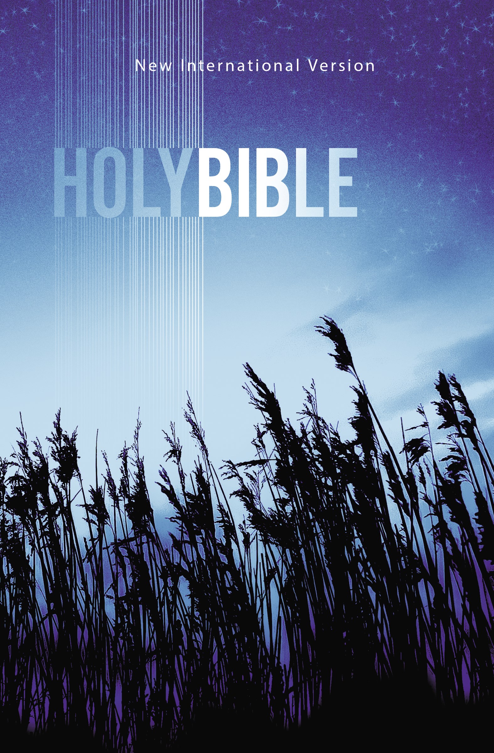 NIV VALUE OUTREACH BIBLE-BLUE WHEAT SOFTCOVER