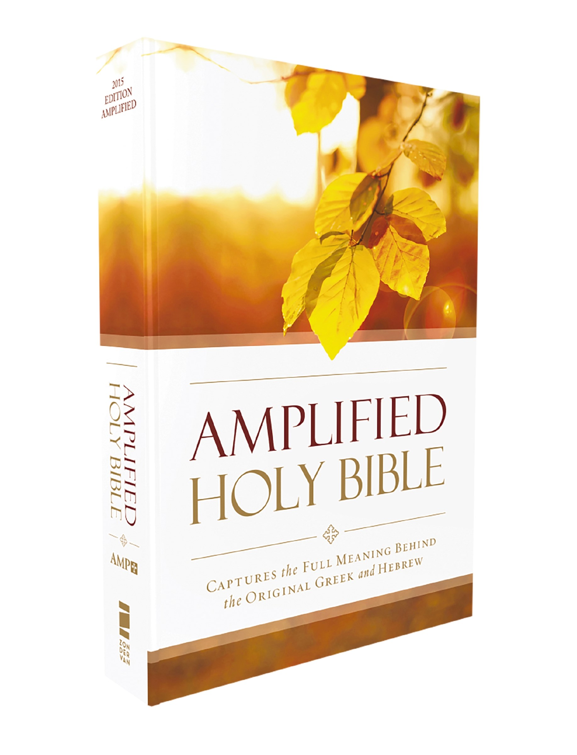 AMPLIFIED OUTREACH BIBLE-SOFTCOVER