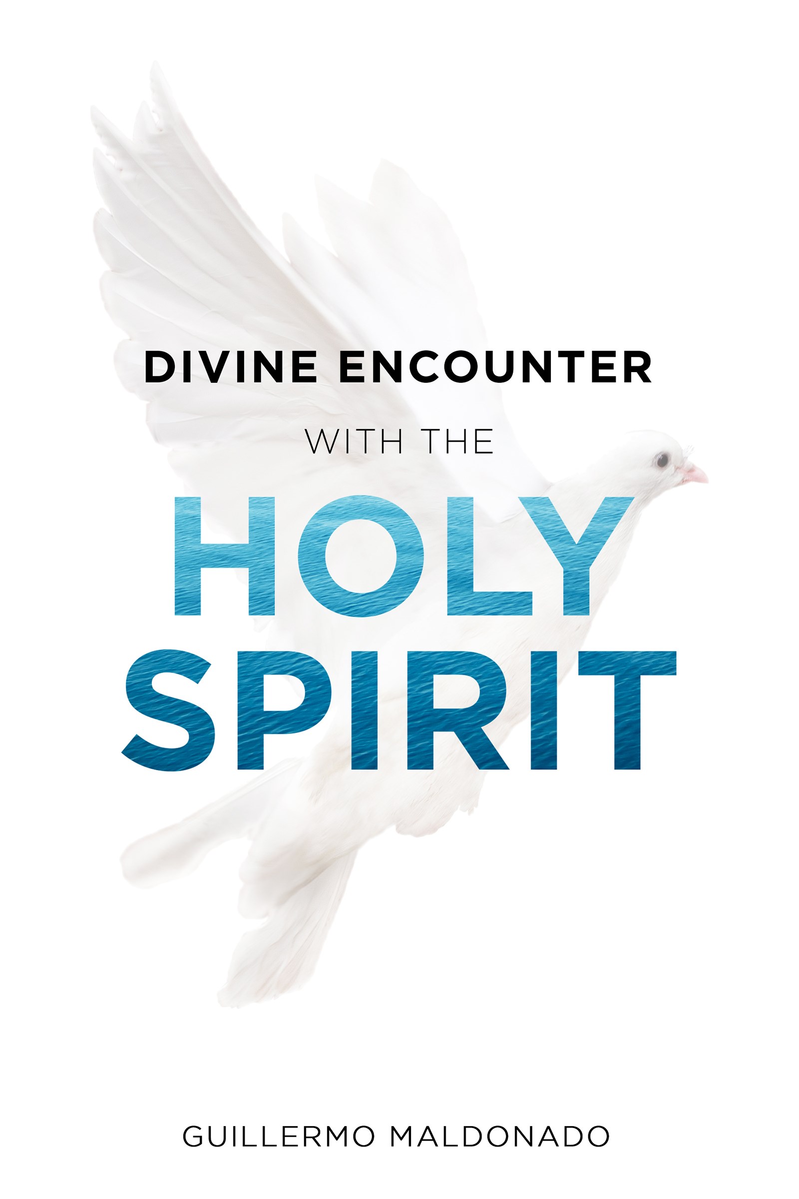 DIVINE ENCOUNTER WITH THE HOLY SPIRIT