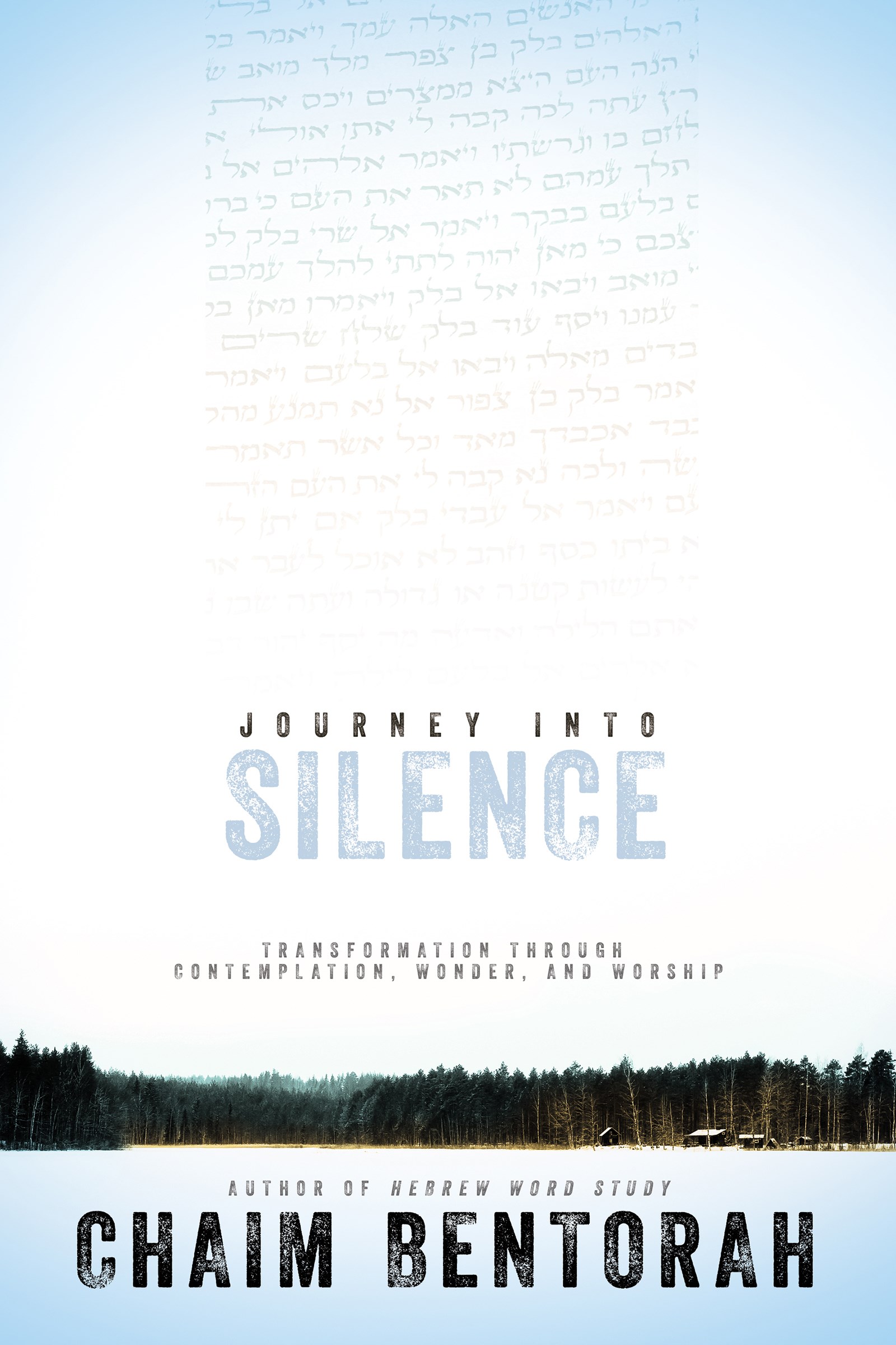 JOURNEY INTO SILENCE
