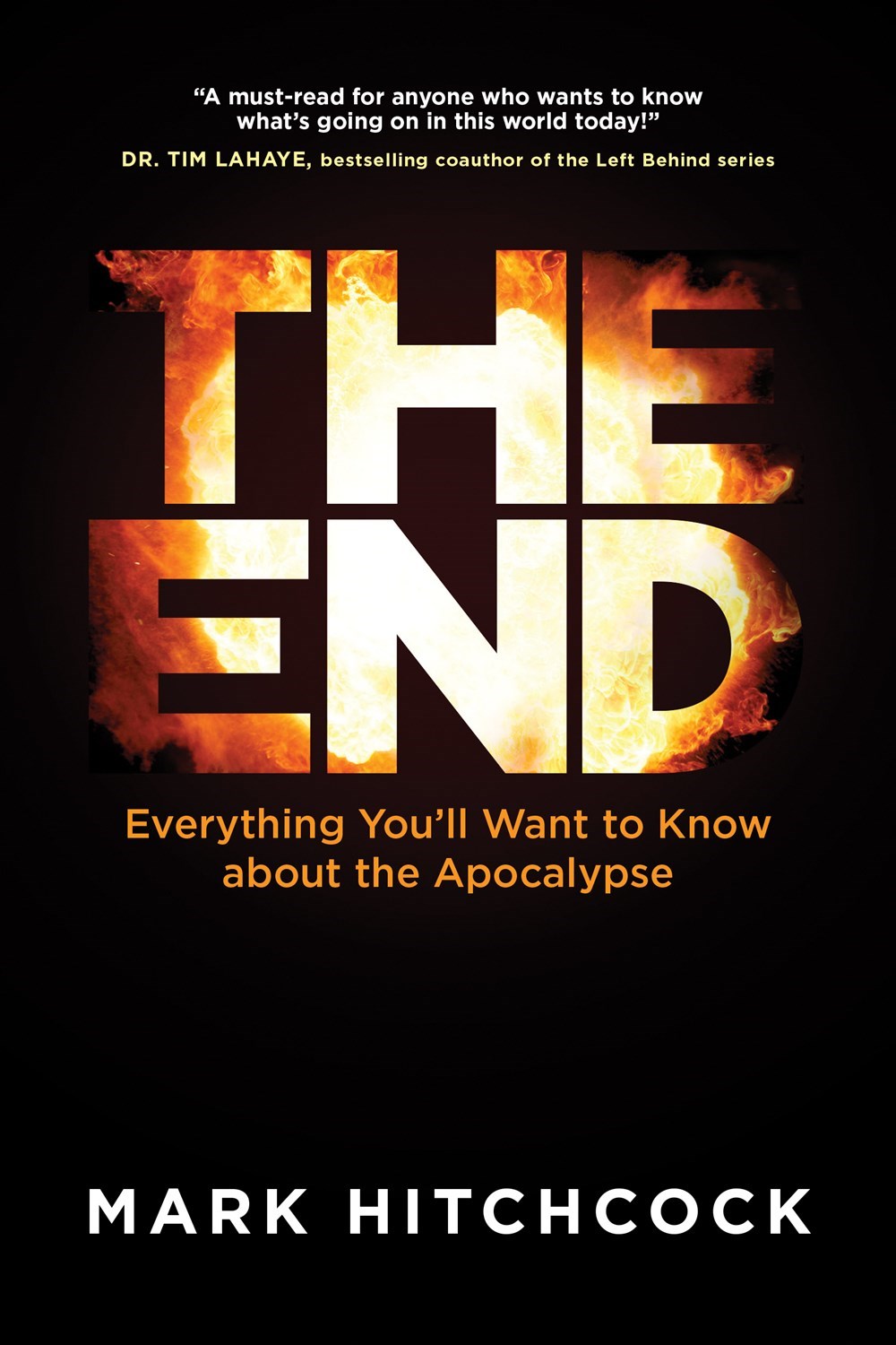 THE END-SOFTCOVER
