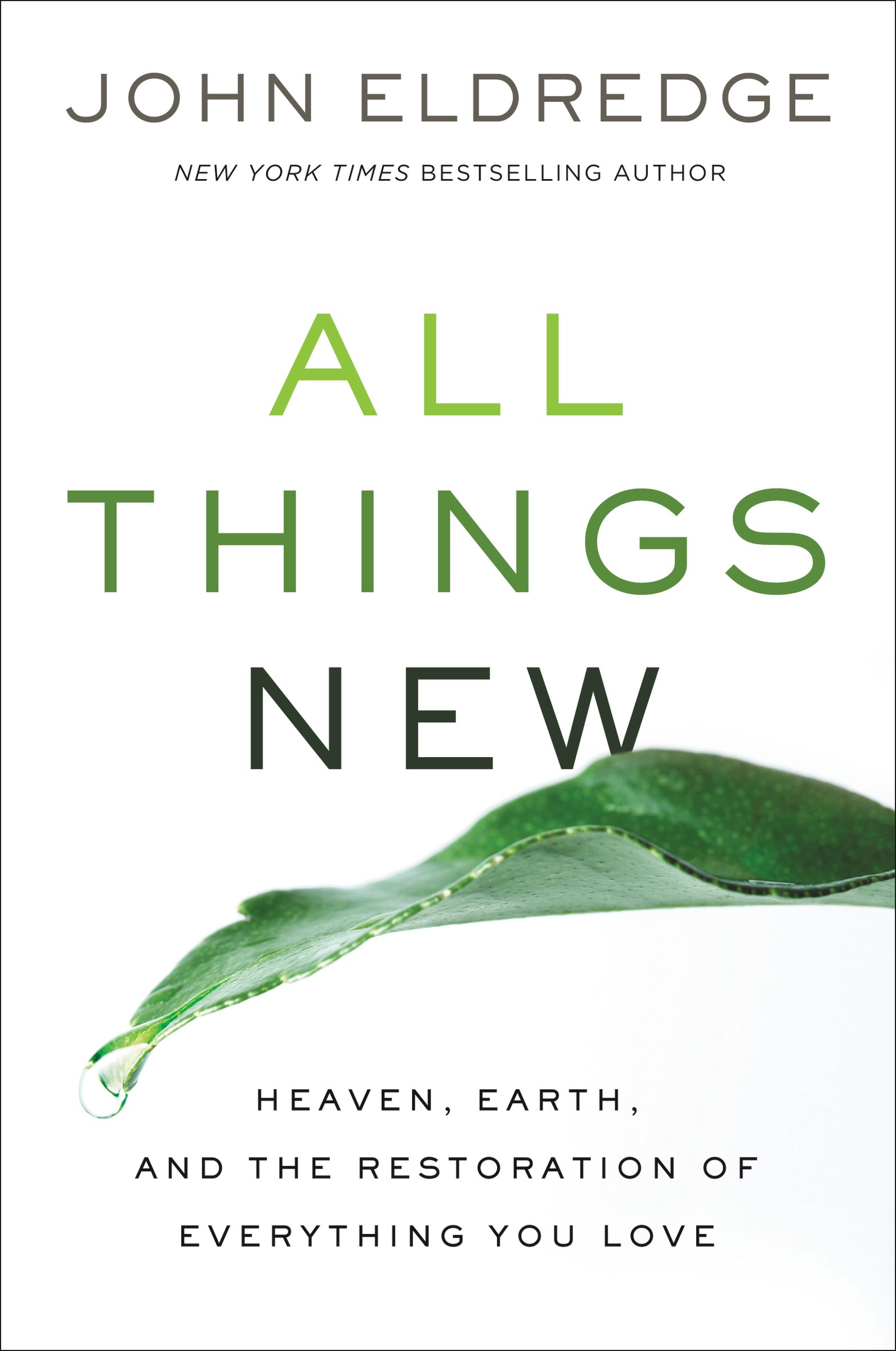 ALL THINGS NEW-SOFTCOVER 