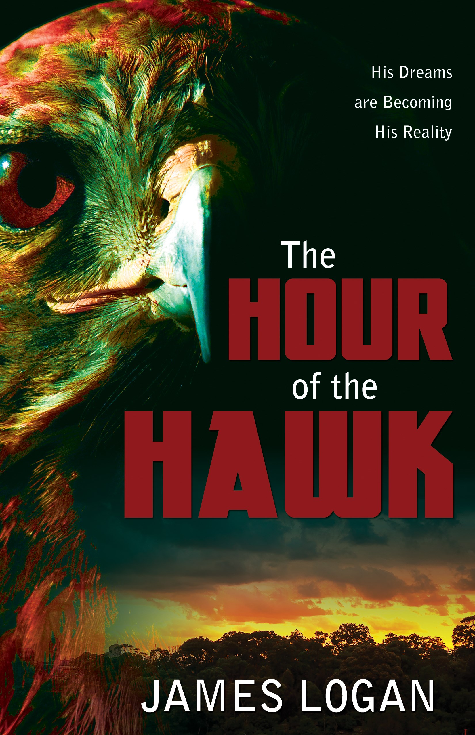 THE HOUR OF THE HAWK