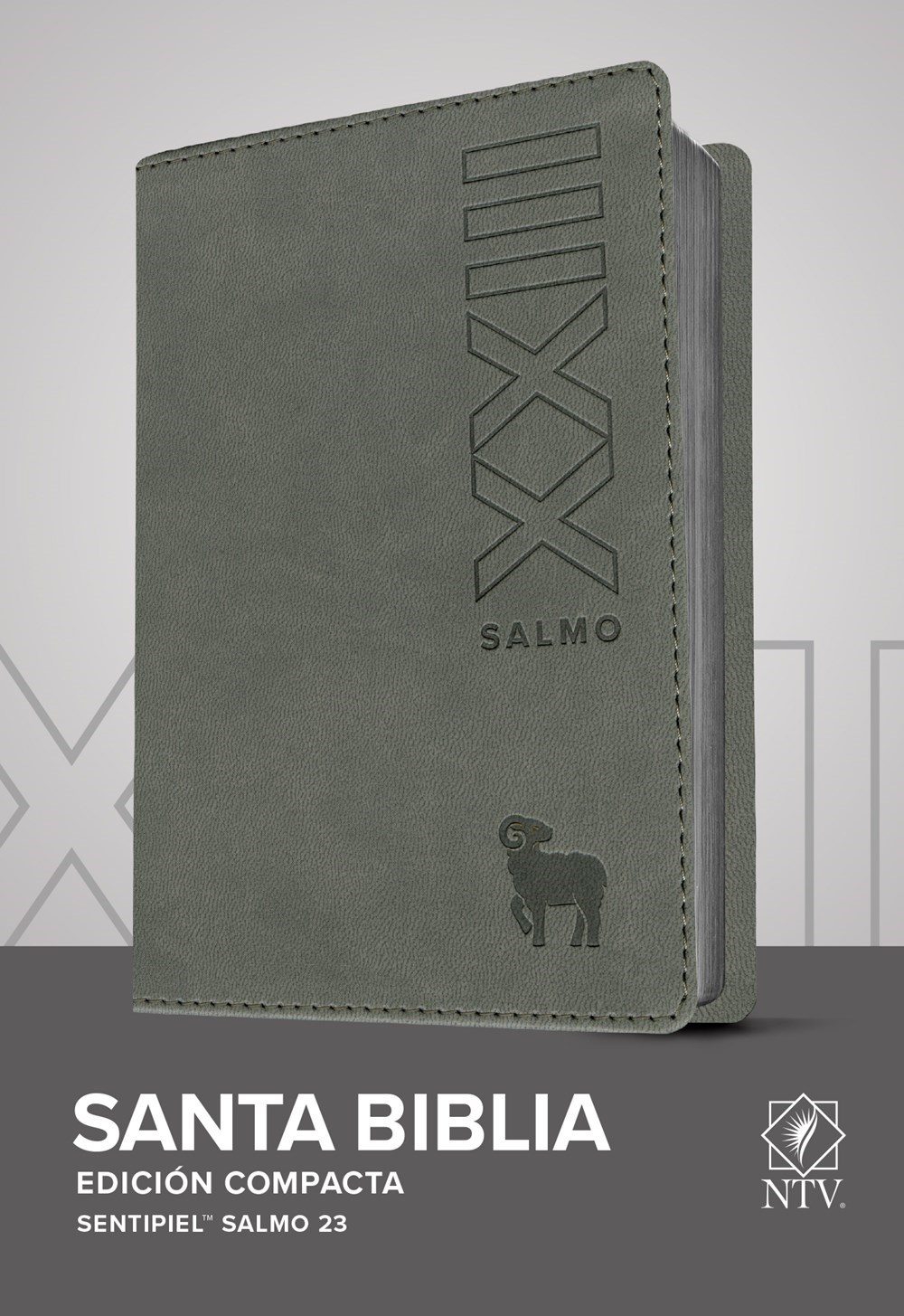 NTV EDICION COMPACTA, SALMO 23 (NLT COMPACT EDITION, PSALM 23)-GRAY LEATHERLIKE