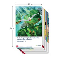 TWO OR MORE-ANNUAL POSTER PACK (PACK OF 12)