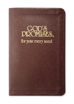 GOD'S PROMISES FOR YOUR EVERY NEED-BURGUNDY BONDED LEATHER