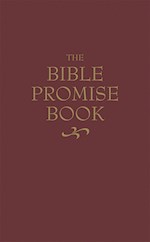 THE BIBLE PROMISE BOOK (KJV)-BURGUNDY