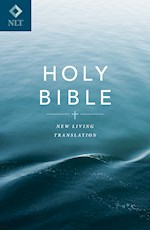 NLT HOLY BIBLE (ECONOMY)-SOFTCOVER