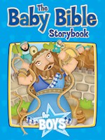 THE BABY BIBLE STORYBOOK FOR BOYS