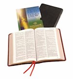 KJV WINDSOR TEXT BIBLE-BLACK CALFSKIN LEATHER (#25/UBK)