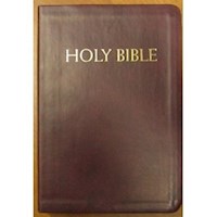 NABRE CATHOLIC COMPANION BIBLE-BURGUNDY IMITATION LEATHER