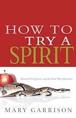 HOW TO TRY A SPIRIT 