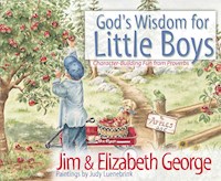 GOD'S WISDOM FOR LITTLE BOYS