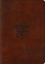 ESV STUDY BIBLE-WALNUT CELTIC IMPRINT DESIGN TRUTONE