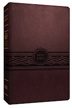MEV PERSONAL SIZE LARGE PRINT BIBLE-CHERRY BROWN LEATHERLIKE