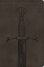 ESV COMPACT BIBLE-SILVER SWORD TRUTONE