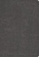 ESV STUDENT STUDY BIBLE-GRAY TRUTONE