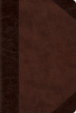 ESV PERSONAL REFERENCE BIBLE-BROWN/WALNUT PORTFOLIO DESIGN TRUTONE