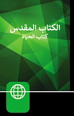 NAV ARABIC CONTEMPORARY BIBLE/LARGE PRINT-BURGUNDY HARDCOVER