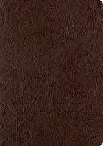 ESV SINGLE COLUMN JOURNALING BIBLE/LARGE PRINT-MOCHA BONDED LEATHER
