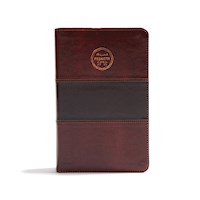 BIBLIA PESHITTA EN ESPANOL (PESHITTA BIBLE IN SPANISH)-MAHOGANY IMITATION LEATHER (REVISED AND AUGMENTED)