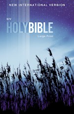 NIV OUTREACH BIBLE/LARGE PRINT-BLUE WHEAT SOFTCOVER