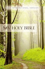 NIV VALUE OUTREACH BIBLE-FOREST PATH SOFTCOVER