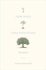 HOW DOES SANCTIFICATION WORK?