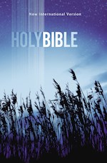 NIV VALUE OUTREACH BIBLE-BLUE WHEAT SOFTCOVER
