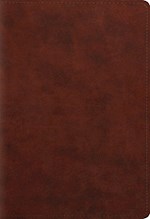ESV STUDENT STUDY BIBLE-CHESTNUT TRUTONE