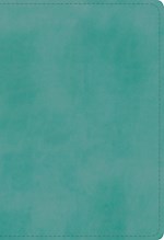 ESV STUDENT STUDY BIBLE-TURQUOISE TRUTONE