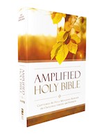 AMPLIFIED OUTREACH BIBLE-SOFTCOVER